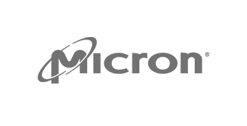 Micron_250-grey