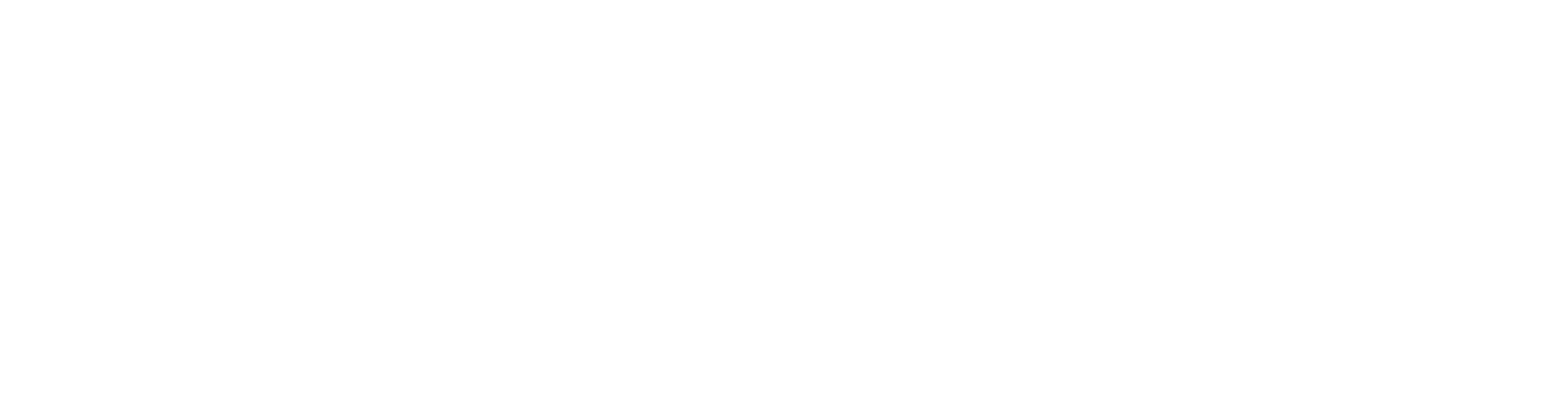 Synaptics 