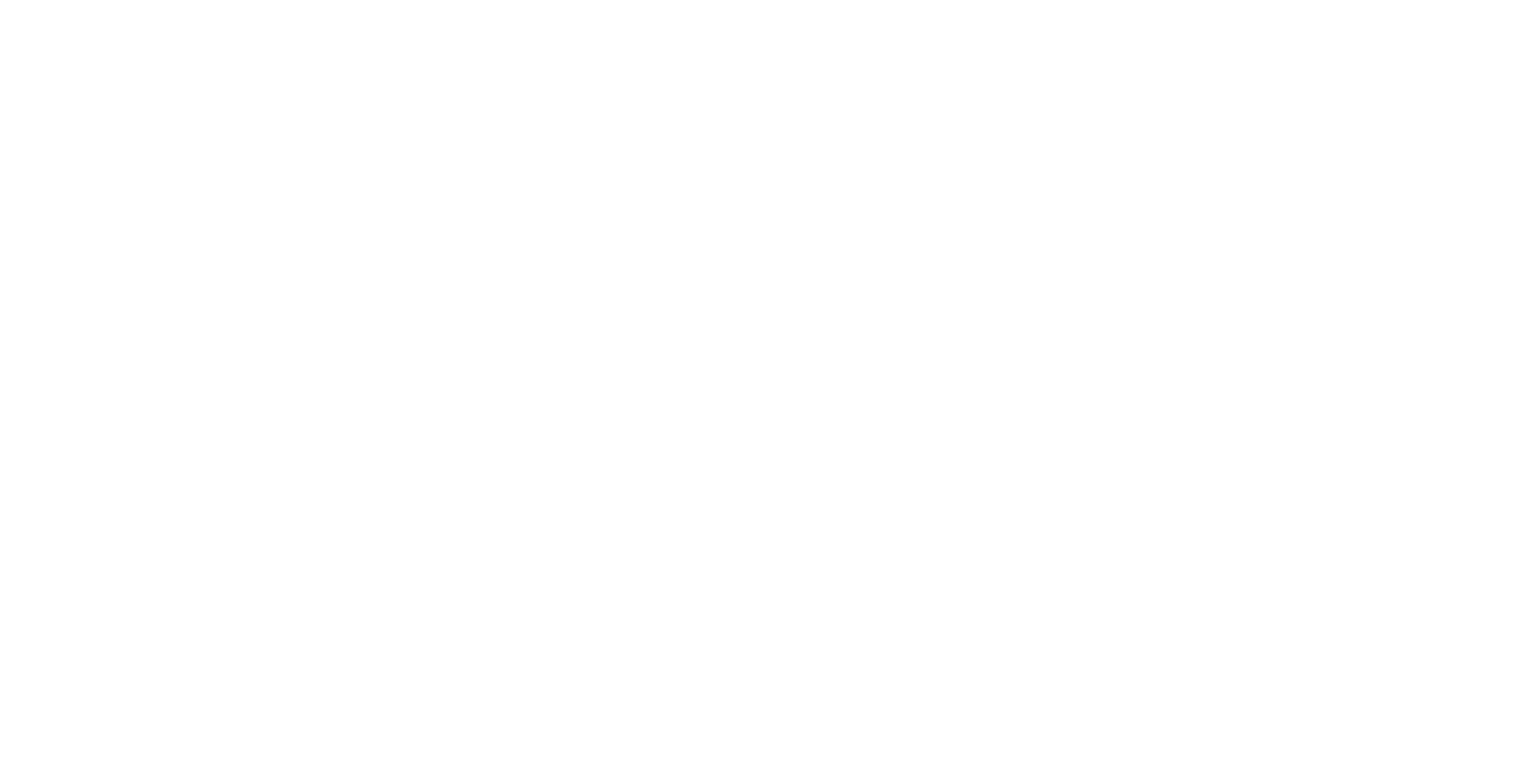 Western Digital