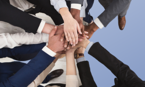 CEO Pledge