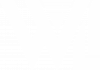 WLI White Logo